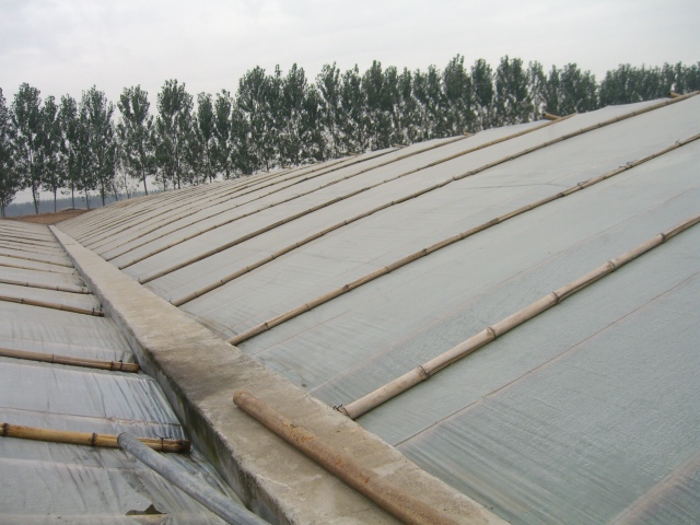 4d6eaf2420.jpg 6.jpg