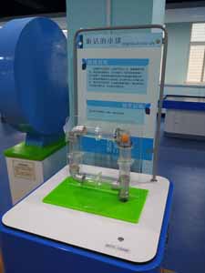 f1f1bfb3ef.jpg 听话的小球1.jpg