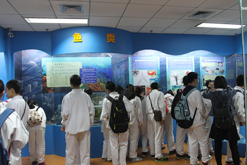 1fd2c8fd75.jpg 3_副本.jpg