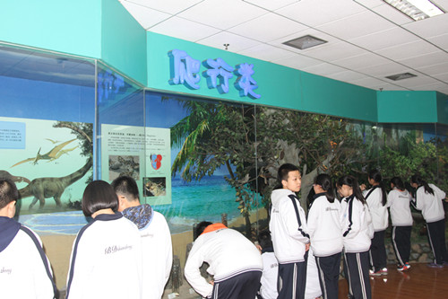 5419835227.jpg IMG_3342_副本.jpg