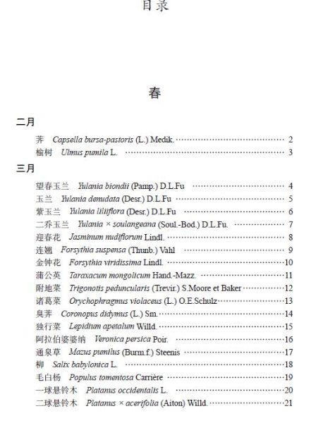 目录