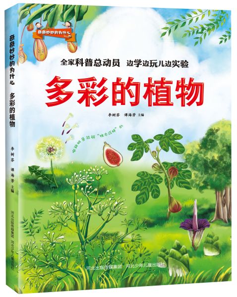 多彩的植物