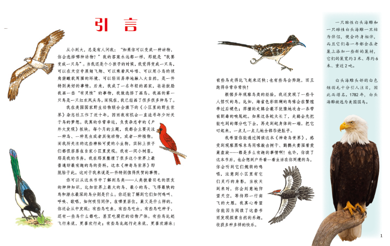 无标题
