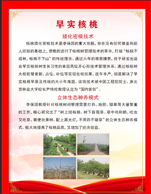 图片4_副本
