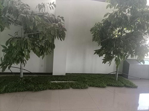 图片9_副本