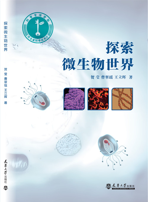 图书封面_副本