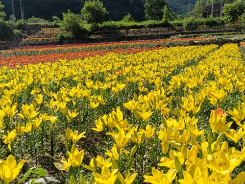 图片2_副本 图片2_副本