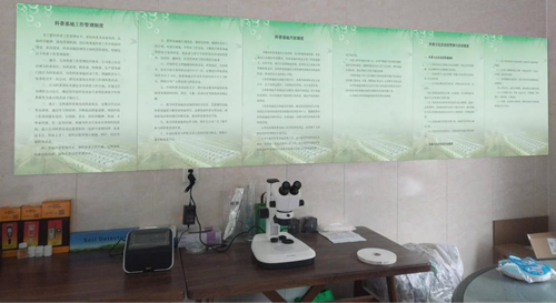 图片6_副本 图片6_副本