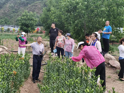 图片7_副本 图片7_副本