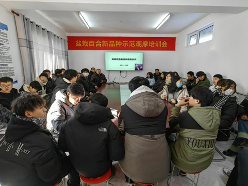 图片8_副本 图片8_副本