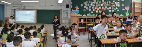 图片7_副本 图片7_副本