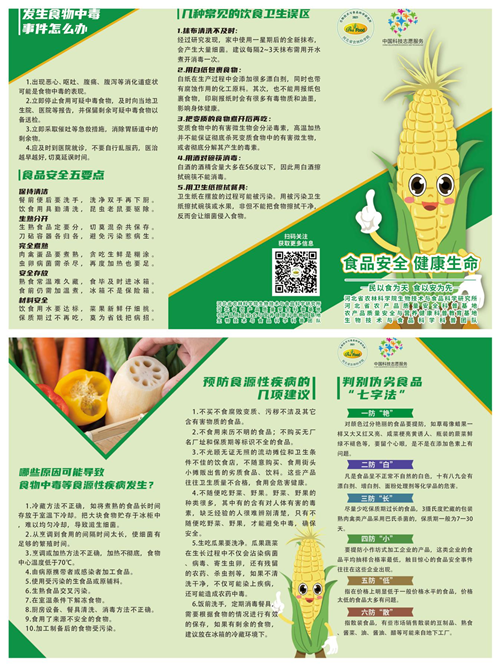 图片1_副本 图片1_副本