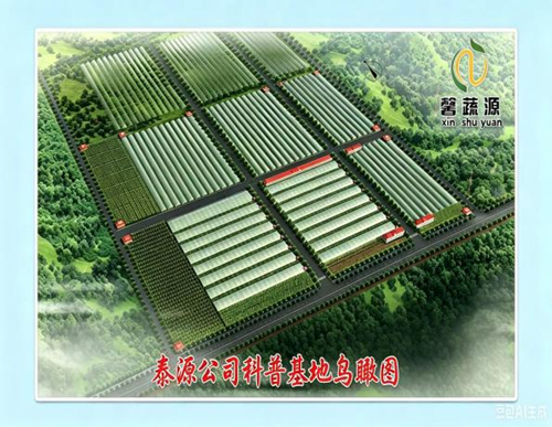 图片4_副本