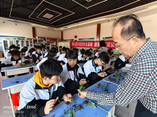 图片17_副本