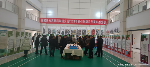 图片5_副本