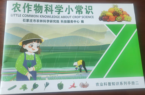 图片2_副本