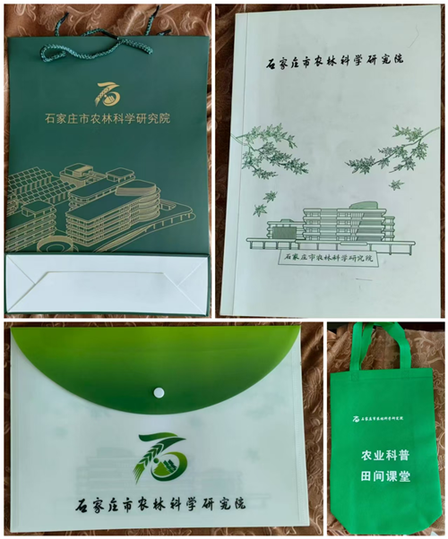 图片3_副本